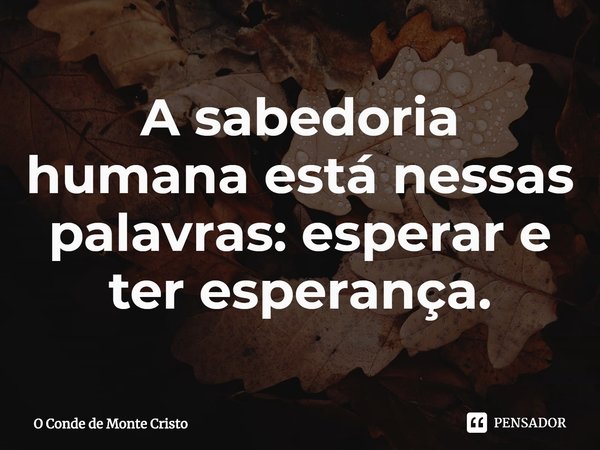 ⁠A sabedoria humana está nessas palavras: esperar e ter esperança.... Frase de O Conde de Monte Cristo.