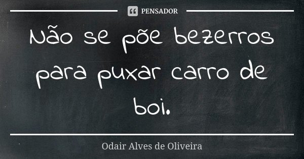 Não se põe bezerros para puxar carro de boi.... Frase de Odair Alves de Oliveira.