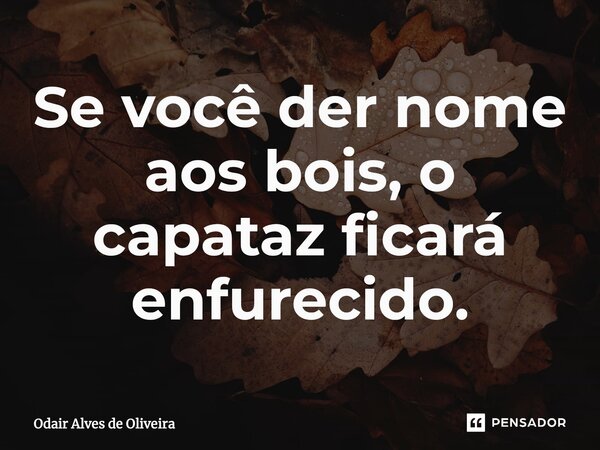 ⁠Se você der nome aos bois, o capataz ficará enfurecido.... Frase de Odair Alves de Oliveira.