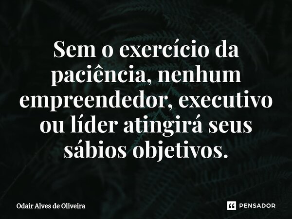 ⁠Sem o exercício da paciência, nenhum empreendedor, executivo ou líder atingirá seus sábios objetivos.... Frase de Odair Alves de Oliveira.