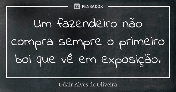 Um fazendeiro não compra sempre o primeiro boi que vê em exposição.... Frase de Odair Alves de Oliveira.