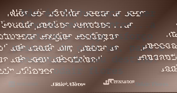Não és folha seca a ser levada pelos ventos...a natureza exige esforço pessoal de cada um, para o encontro de seu destino! odair flores... Frase de odair flores.
