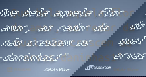 Que bela aquela flor do amor, ao redor da qual não crescem as ervas-daninhas1"... Frase de Odair Rizzo.