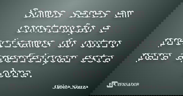 Somos seres em construção e precisamos do outro para aperfeiçoar esta obra.... Frase de Odete Souza.