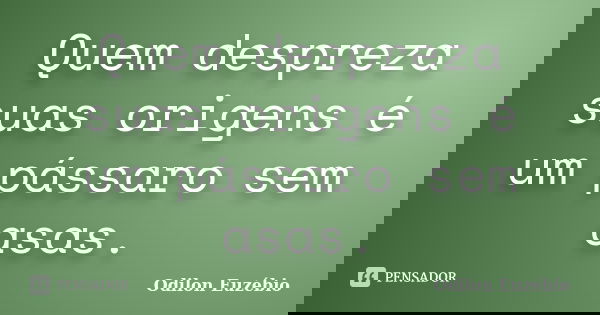 Quem despreza suas origens é um pássaro sem asas.... Frase de Odilon Euzébio.