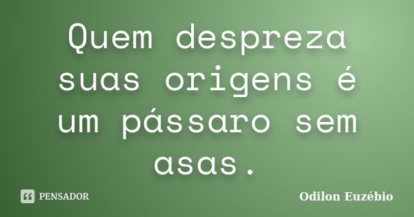 Quem despreza suas origens é um pássaro sem asas.... Frase de Odilon Euzébio.