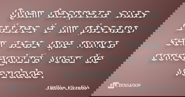 Quem despreza suas raízes é um pássaro sem asas que nunca conseguirá voar de verdade.... Frase de Odilon Euzébio.