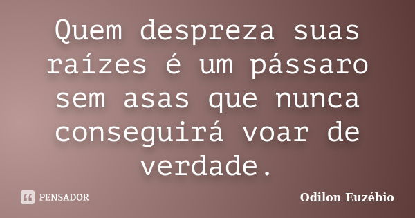 Quem despreza suas raízes é um pássaro sem asas que nunca conseguirá voar de verdade.... Frase de Odilon Euzébio.