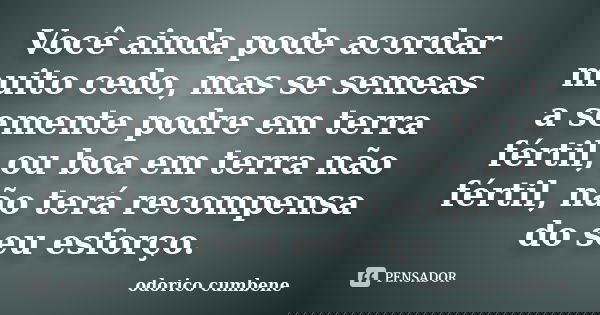 Você ainda pode acordar muito cedo, mas se semeas a semente podre em terra fértil, ou boa em terra não fértil, não terá recompensa do seu esforço.... Frase de Odorico Cumbene.