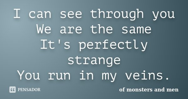 I can see through you We are the same It's perfectly strange You run in my veins.... Frase de Of Monsters and Men.