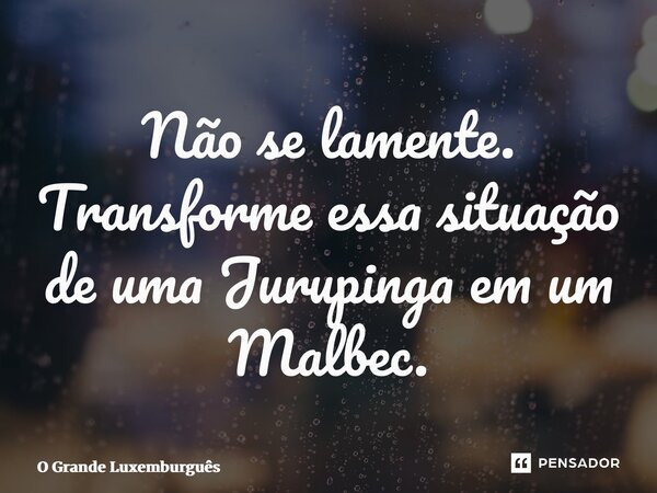 ⁠Não se lamente. Transforme essa situação de uma Jurupinga em um Malbec.... Frase de O Grande Luxemburguês.