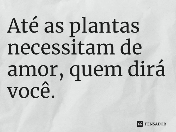 ⁠Até as plantas necessitam de amor, quem dirá você.... Frase de O jardim dos lírios mortos. Eliott Ross..