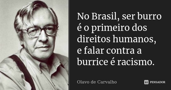 No Brasil, ser burro é o primeiro dos direitos humanos, e falar contra a burrice é racismo.... Frase de Olavo de Carvalho.