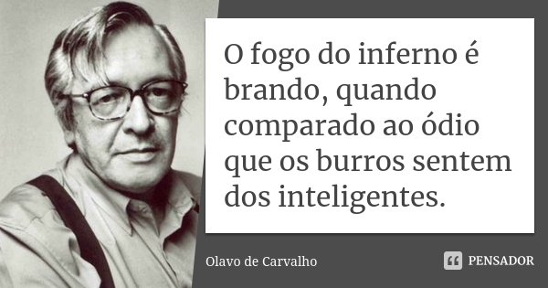 O fogo do inferno é brando, quando comparado ao ódio que os burros sentem dos inteligentes.... Frase de Olavo de Carvalho.