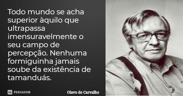 Todo mundo se acha superior àquilo que ultrapassa imensuravelmente o seu campo de percepção. Nenhuma formiguinha jamais soube da existência de tamanduás.... Frase de Olavo de Carvalho.