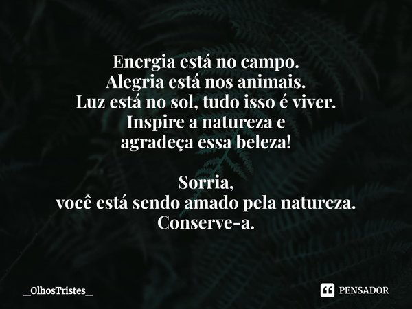 ⁠Energia está no campo. Alegria está nos animais. Luz está no sol, tudo isso é viver. Inspire a natureza e agradeça essa beleza! Sorria, você está sendo amado p... Frase de _OlhosTristes_.