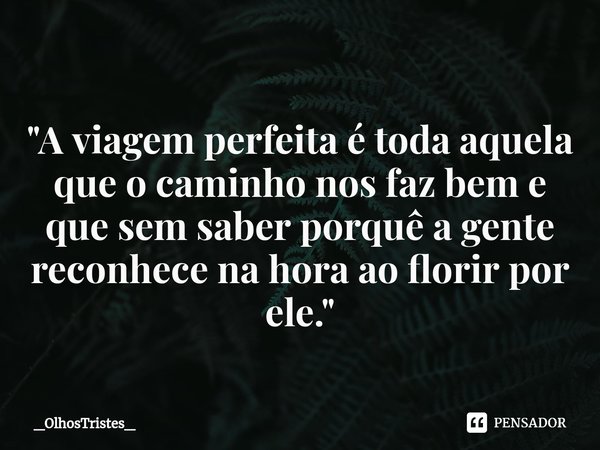⁠
"A viagem perfeita é toda aquela
que o caminho nos faz bem e
que sem saber porquê a gente reconhece na hora ao florir por ele."... Frase de _OlhosTristes_.