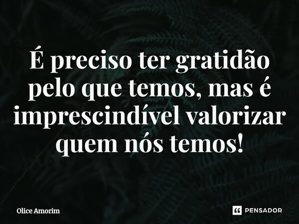 ⁠É preciso ter gratidão pelo que temos, mas é imprescindível valorizar quem nós temos!... Frase de Olice Amorim.