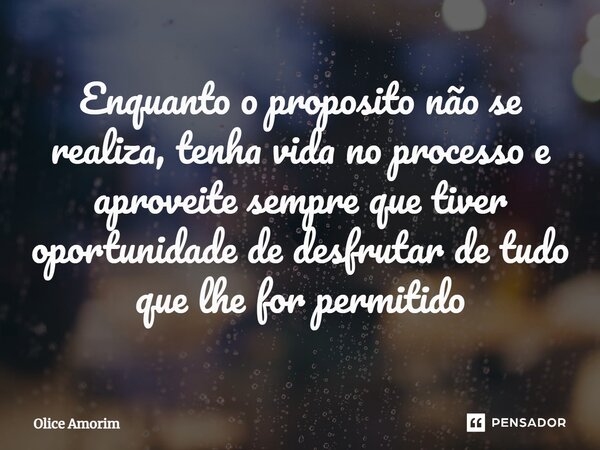 ⁠Enquanto o proposito não se realiza, tenha vida no processo e aproveite sempre que tiver oportunidade de desfrutar de tudo que lhe for permitido... Frase de Olice Amorim.