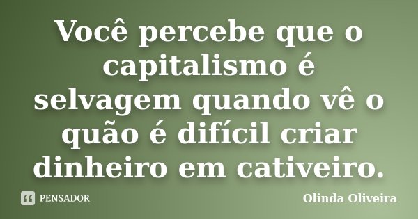 Você percebe que o capitalismo é selvagem quando vê o quão é difícil criar dinheiro em cativeiro.... Frase de Olinda Oliveira.