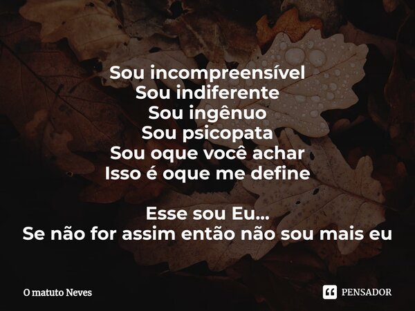 ⁠⁠Sou incompreensível Sou indiferente Sou ingênuo Sou psicopata Sou oque você achar Isso é oque me define Esse sou Eu... Se não for assim então não sou mais eu... Frase de O Matuto Neves.