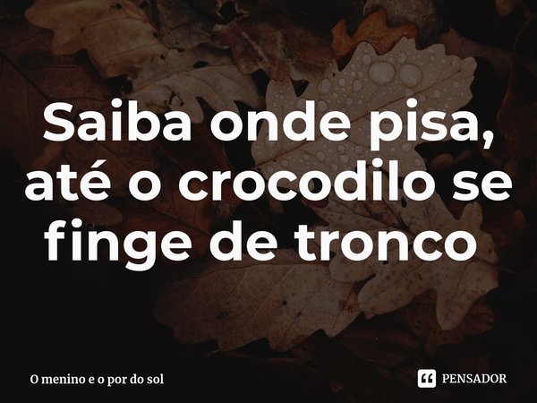 Saiba onde pisa, até o crocodilo se finge de tronco ⁠... Frase de O menino e o por do sol.