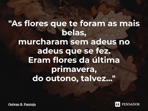 ⁠"As flores que te foram as mais belas,
murcharam sem adeus no adeus que se fez.
Eram flores da última primavera,
do outono, talvez..."... Frase de Onivan B. Pantoja.