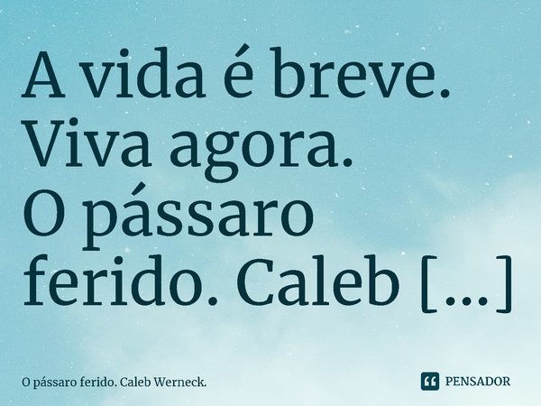 A vida é breve. Viva agora.... Frase de O pássaro ferido. Caleb Werneck..