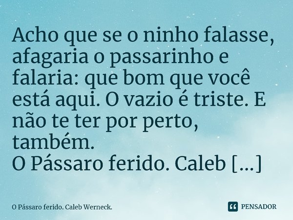Acho que se o ninho falasse, afagaria o passarinho e falaria: que bom que você está aqui. O vazio é triste. E não te ter por perto, também.... Frase de O Pássaro ferido. Caleb Werneck..