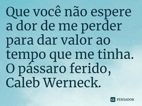 Que você não espere a dor de me perder para dar valor ao tempo que me tinha.... Frase de O pássaro ferido, Caleb Werneck..