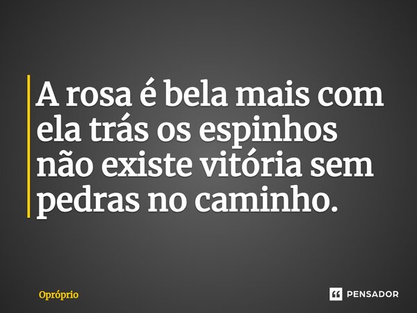 ⁠A rosa é bela mais com ela traz os espinhos não existe vitória sem pedras no caminho.... Frase de Opróprio.