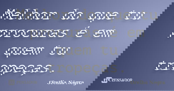 Melhor do que tu procuras é em quem tu tropeças.... Frase de Orelha Negra.