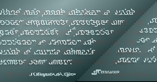 Você não pode deixar a vida passar enquanto protege um coração partido. É preciso se arriscar e tentar de novo. A vida é curta demais para vivermos sem amor.... Frase de O Resgate do Tigre.