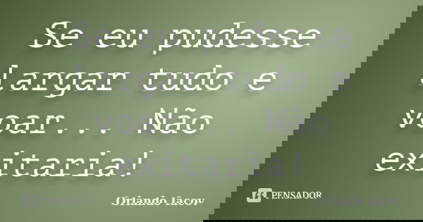 Se eu pudesse largar tudo e voar... Não exitaria!... Frase de Orlando Iacov.