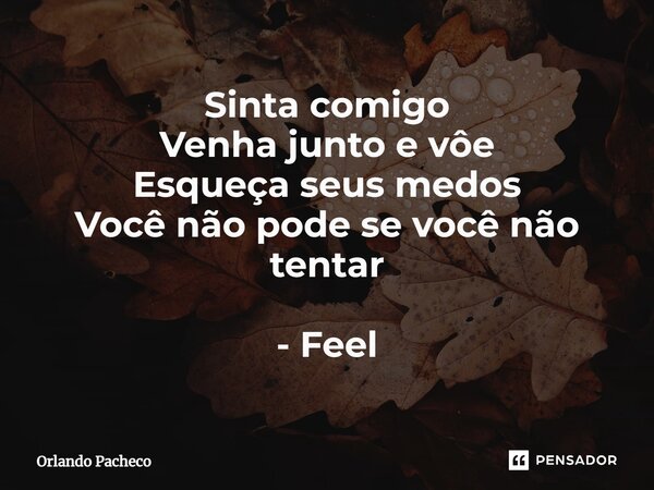 ⁠Sinta comigo Venha junto e voe Esqueça seus medos Você não pode se você não tentar - Feel... Frase de Orlando Pacheco.
