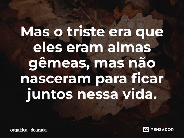 Mas o triste era que eles eram almas gêmeas, mas não nasceram para ficar juntos nessa vida.... Frase de orquidea_dourada.