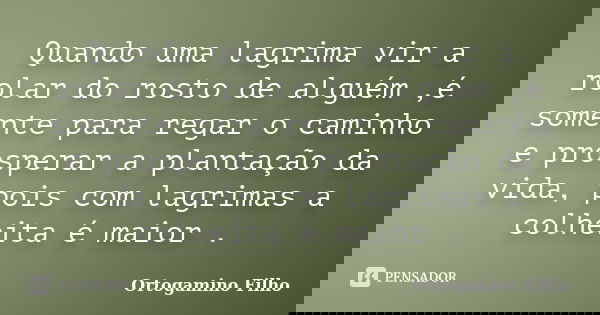 Quando uma lagrima vir a rolar do rosto de alguém ,é somente para regar o caminho e prosperar a plantação da vida, pois com lagrimas a colheita é maior .... Frase de Ortogamino Filho.