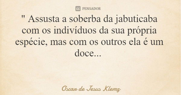 " Assusta a soberba da jabuticaba com os indivíduos da sua própria espécie, mas com os outros ela é um doce...... Frase de Oscar de Jesus Klemz.