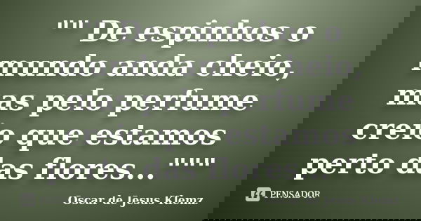 "" De espinhos o mundo anda cheio, mas pelo perfume creio que estamos perto das flores..."""... Frase de Oscar de Jesus Klemz.