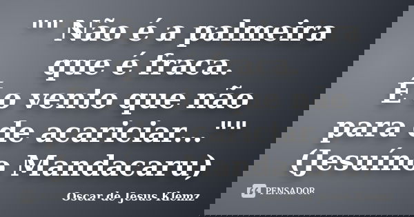 "" Não é a palmeira que é fraca. É o vento que não para de acariciar..."" (Jesuíno Mandacaru)... Frase de Oscar de Jesus Klemz.
