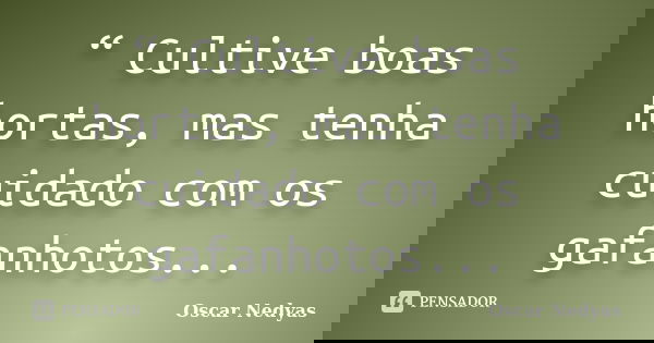 “ Cultive boas hortas, mas tenha cuidado com os gafanhotos...... Frase de Oscar Nedyas.