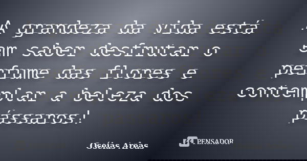 A grandeza da vida está em saber desfrutar o perfume das flores e contemplar a beleza dos pássaros!... Frase de Oséias Arêas.