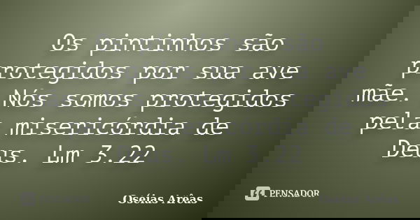 Os pintinhos são protegidos por sua ave mãe. Nós somos protegidos pela misericórdia de Deus. Lm 3.22... Frase de Oséias Arêas.