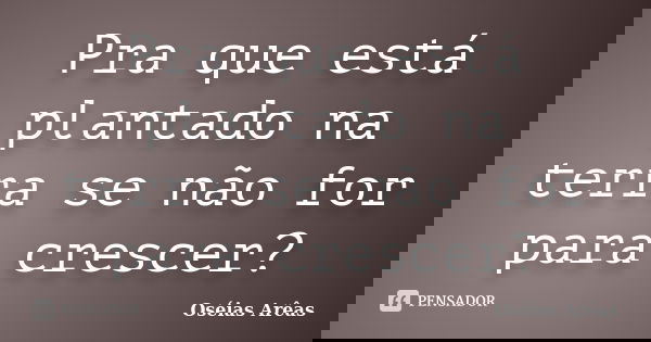 Pra que está plantado na terra se não for para crescer?... Frase de Oséias Arêas.