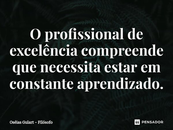 O profissional de excelência compreende que necessita estar em constante aprendizado.... Frase de Oséias Gulart - Filósofo.