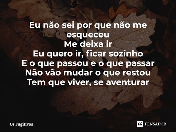 ⁠Eu não sei por que não me esqueceu
Me deixa ir
Eu quero ir, ficar sozinho
E o que passou e o que passar
Não vão mudar o que restou
Tem que viver, se aventurar... Frase de Os Fugitivos.