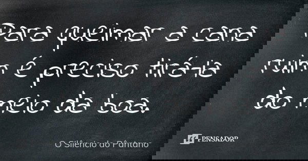 Para queimar a cana ruim é preciso tirá-la do meio da boa.... Frase de O Silêncio do Pântano.