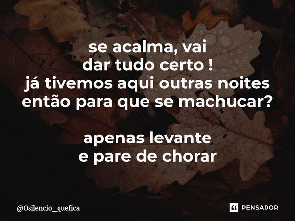 se acalma, vai dartudo certo ! já tivemos aqui outras noites então para que se machucar? apenas levante e pare de chorar⁠... Frase de Osilencio_quefica.