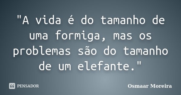 "A vida é do tamanho de uma formiga, mas os problemas são do tamanho de um elefante."... Frase de Osmaar Moreira.