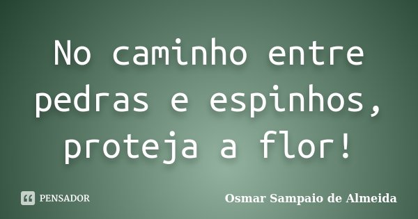 No caminho entre pedras e espinhos, proteja a flor!... Frase de Osmar Sampaio de Almeida.